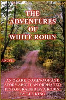 The Adventures of White Robin