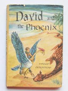 David and the Phoenix