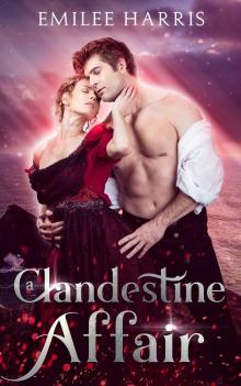 A Clandestine Affair (Currents of Love Book 5)