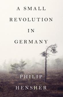 A Small Revolution in Germany