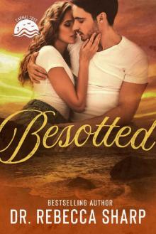 Besotted: An Enemies-to-Lovers Small-town Romance (Carmel Cove Book 3)