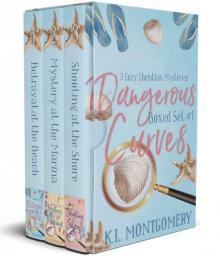 Dangerous Curves Boxed Set 1: 3 Cozy Christian Mysteries