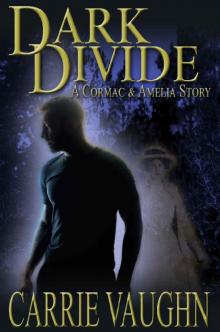 Dark Divide: A Cormac and Amelia Story