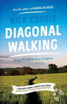 Diagonal Walking