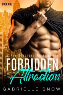 Forbidden Attraction: An Office Affairs Romance (My Billionaire Boss Book 1)