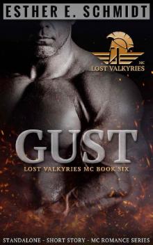 Gust: Lost Valkyries MC