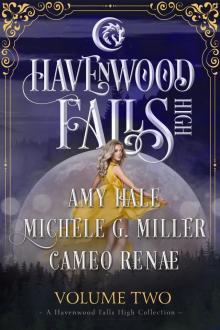 Havenwood Falls High Volume Two