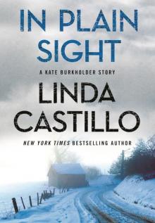 In Plain Sight (Kate Burkholder)