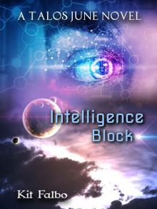 Intelligence Block