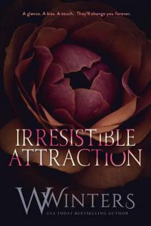 Irresistible Attraction (Merciless World Book 2)