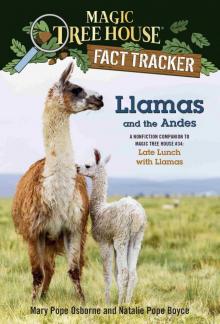 Llamas and the Andes