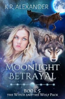 Moonlight Betrayal: A Reverse Harem Shifter Romance (The Witch and the Wolf Pack Book 5)