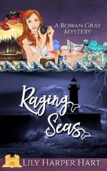 Raging Seas (A Rowan Gray Mystery Book 9)