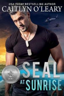 SEAL at Sunrise (Silver SEALs Book 12)