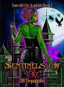 Sentinels of Oz: A Reverse Harem Academy Romance (Emerald City Academy Book 1)