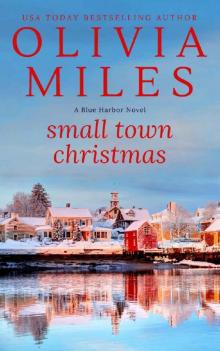 Small Town Christmas (Blue Harbor Book 4)