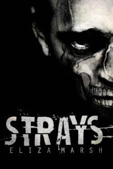 Strays (Red Kings MC Book 1)