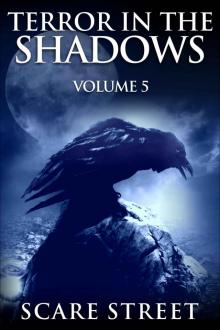 Terror in the Shadows Vol 5