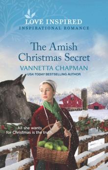 The Amish Christmas Secret