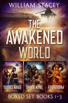 The Awakened World Boxed Set