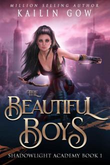 The Beautiful Boys: A High School NA Reverse Harem Paranormal Bully Romance (Shadowlight Academy Book 1)