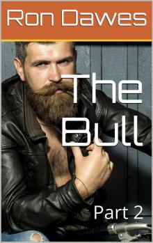 The Bull 2