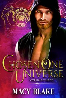 The Chosen One Universe Volume Three: An MM Paranormal Fantasy Shifters Series