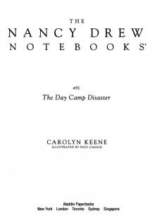 The Day Camp Disaster
