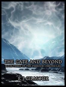 The Gate and Beyond