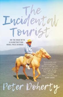 The Incidental Tourist