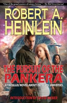 The Pursuit of the Pankera: A Parallel Novel About Parallel Universes