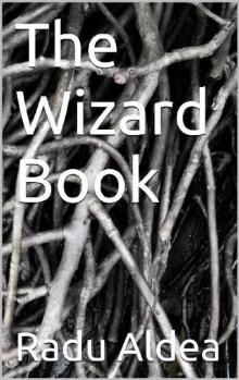 The Wizard Book