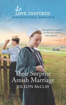 Their Surprise Amish Marriage