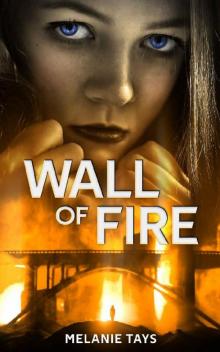 Wall of Fire: A Young Adult Dystopian Novel