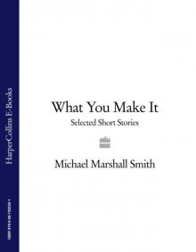 What You Make It: A Book of Short Stories