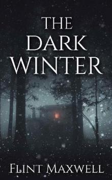 Whiteout (Book 2): The Dark Winter