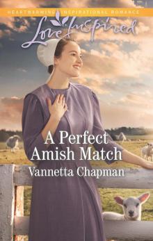 A Perfect Amish Match