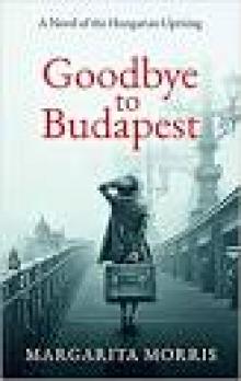 Goodbye to Budapest