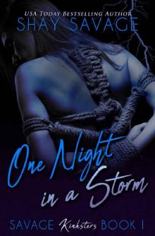 One Night in a Storm: Savage Kinksters Book 1