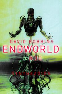 Synthezoids Endworld 30