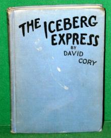 The Iceberg Express