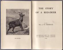 The Story of a Red Deer