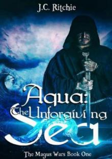 Aqua- the Unforgiving Sea