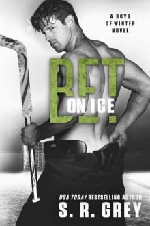 Bet on Ice (Boys of Winter Book 9)