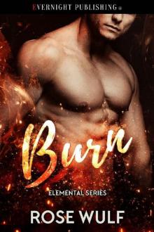 Burn (Elemental Series Book 4)