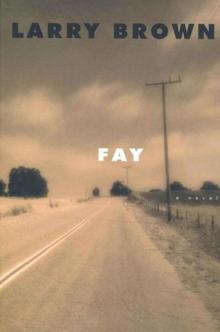 Fay: A Novel