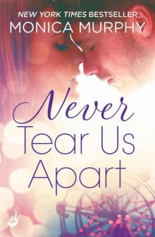 Never Tear Us Apart (Never Tear Us Apart #1)