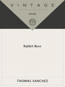 Rabbit Boss