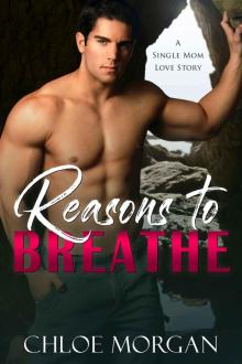 Reasons To Breathe: A Single Mom Love Story