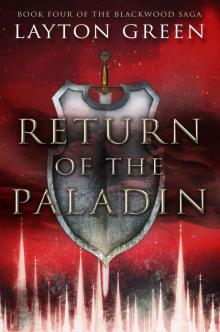 Return of the Paladin